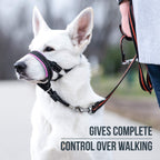 Pink no pull headcollar for dogs with integrated safety strap connection