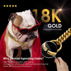 High-polished eighteen karat gold plating texture of the Txprodogchains training collar links.