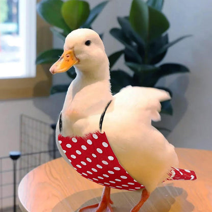 QBLEEV washable duckling diaper cloth lifestyle shot with bird
