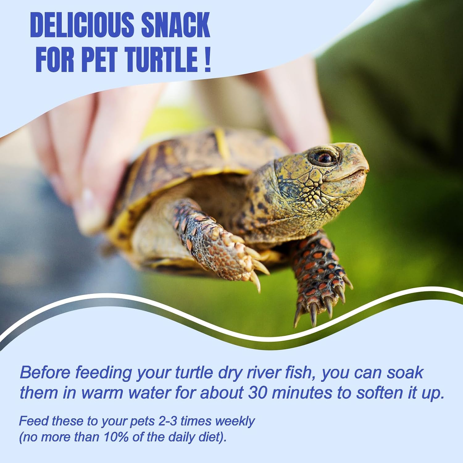 Authentic imported Amzey natural pet food jar for carnivorous reptiles.