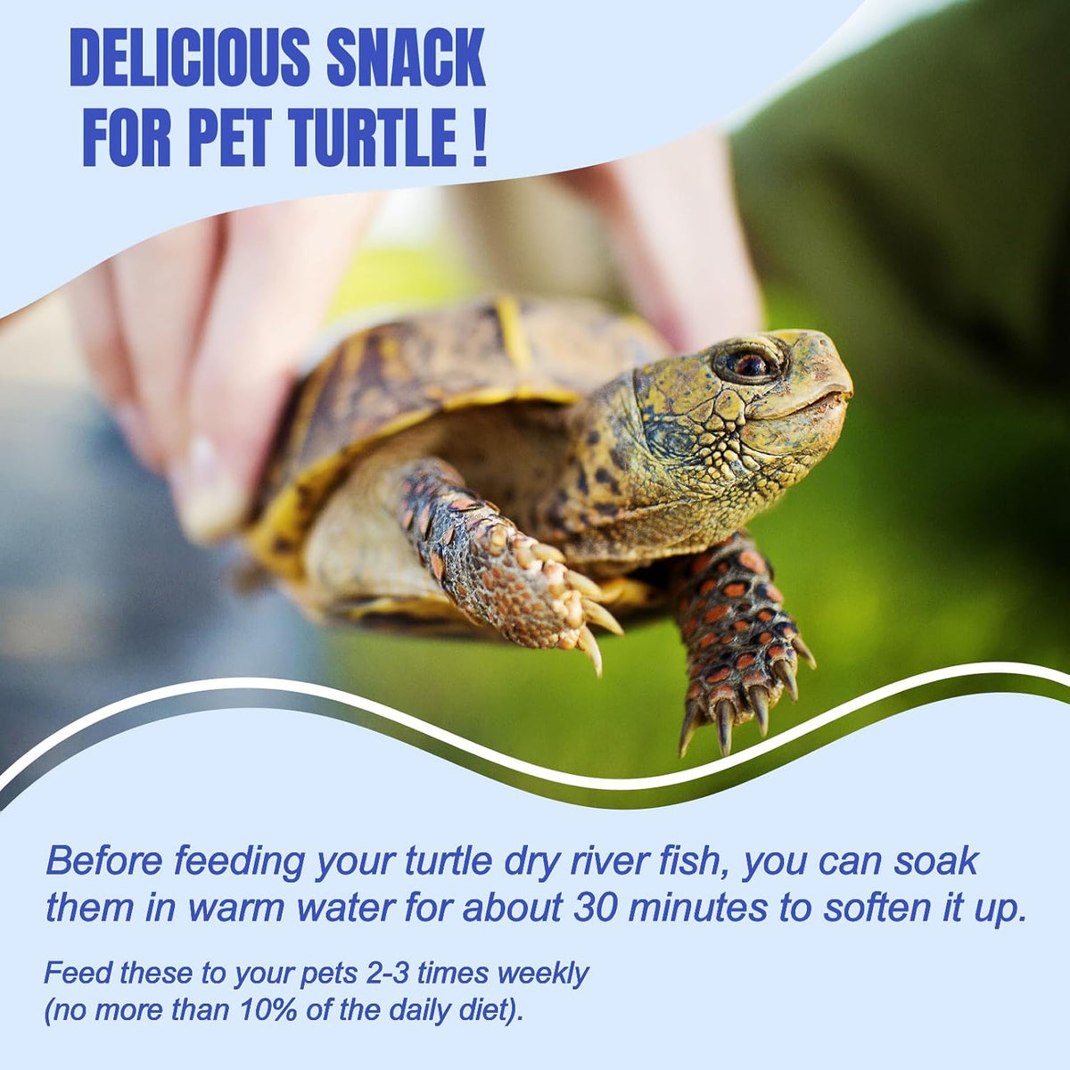 Amzey reptile and terrapin food official packaging
