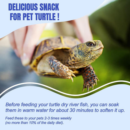 Authentic imported Amzey natural pet food jar for carnivorous reptiles.