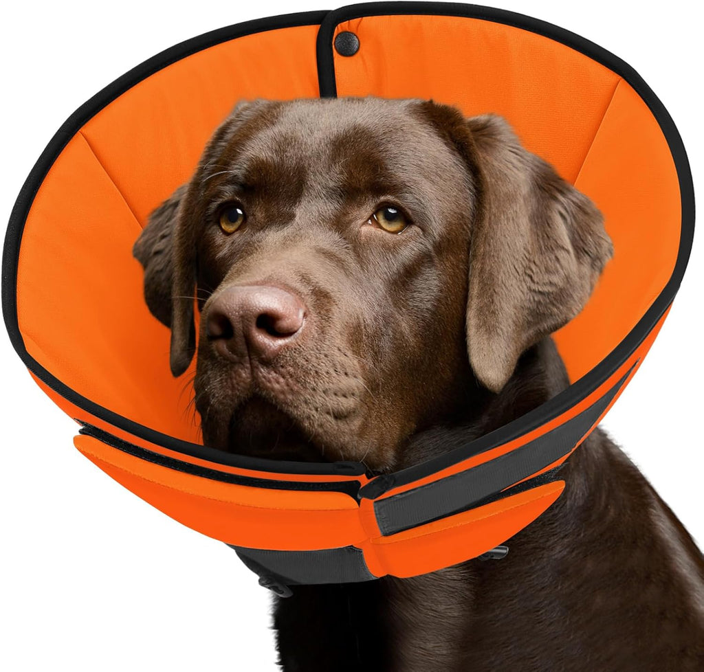 Premium imported soft dog cone packaging and detailed size chart