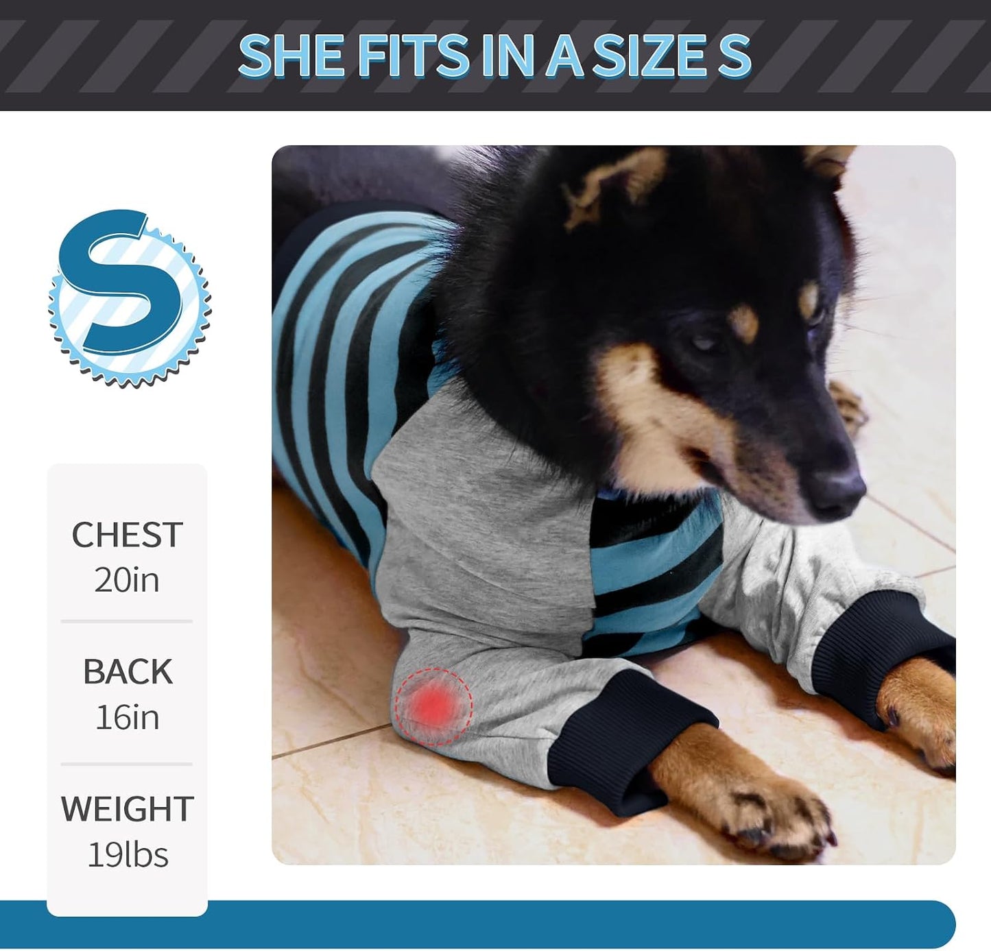 FUAMEY medical pet sleeve protecting a dog front leg from licking post surgery