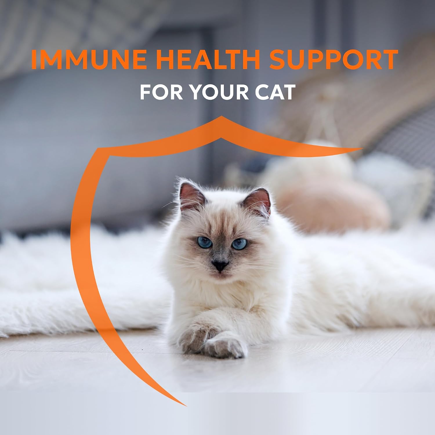 Feline immune support powder capsules containing astaxanthin and beta glucans
