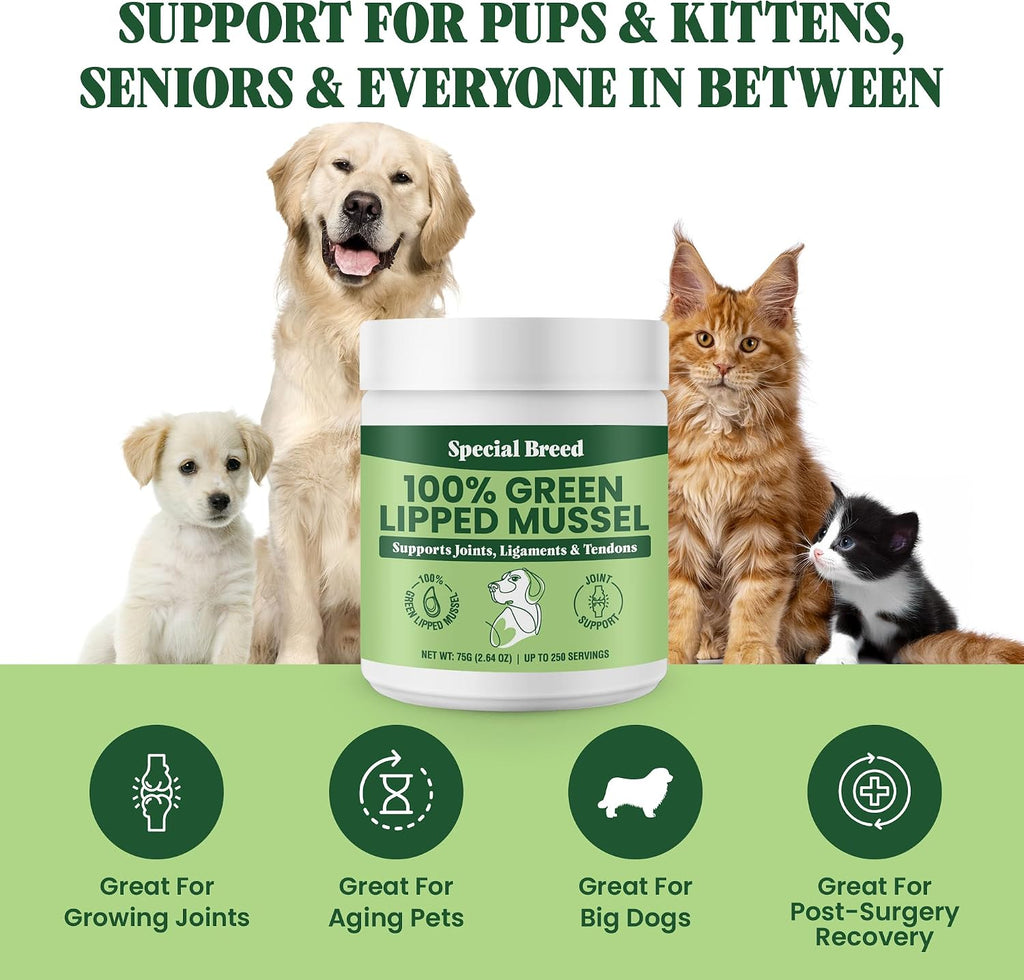 Special Breed pet joint supplement for tendons ligaments and muscles