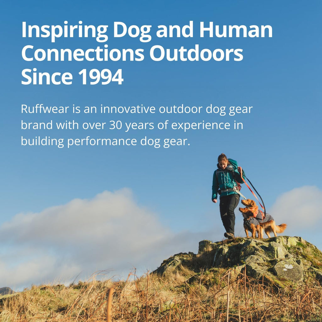Adjustable leg loops on an all-weather medium size dog jacket.