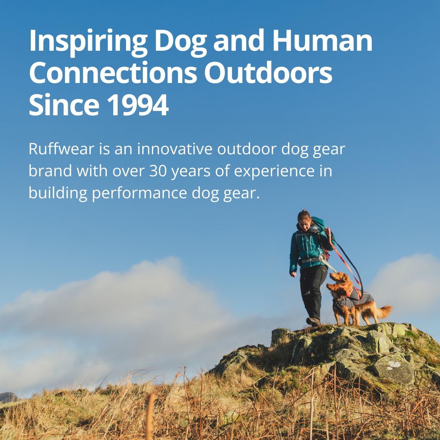 Ruffwear dog harness adjustment straps and fit demonstration