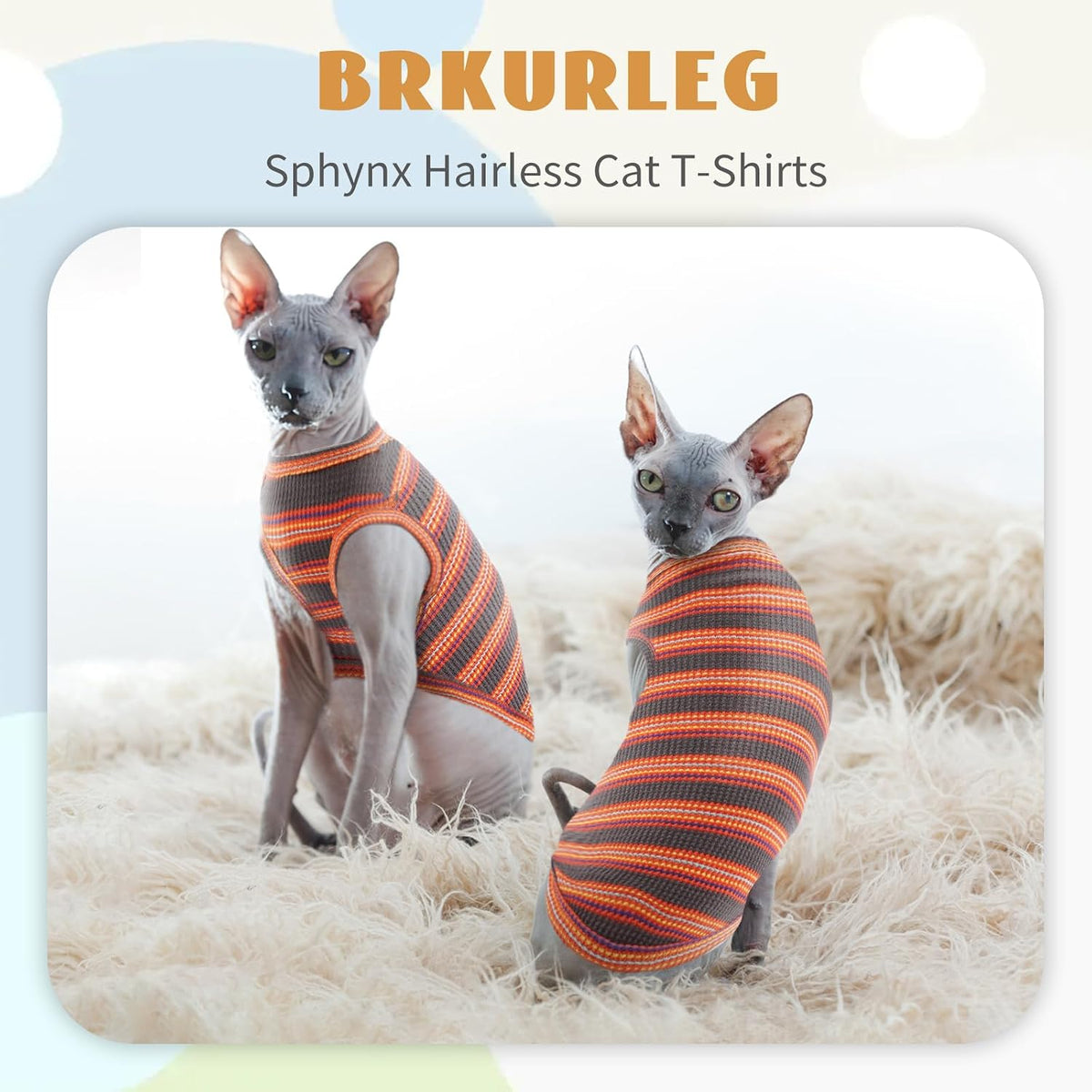 Brkurleg cat vest pullover design for small dogs and kittens