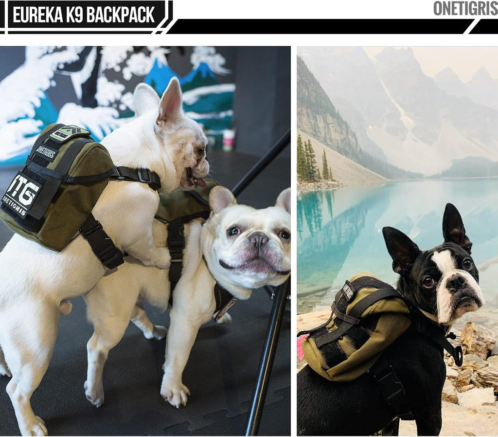 Close up view of the built in poop bag dispenser exit on the bottom left of the pet hiking bag