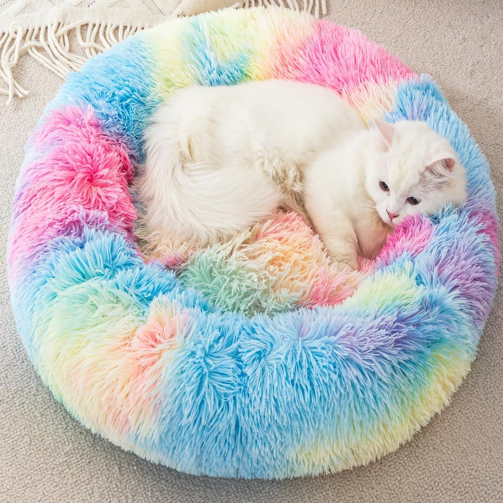 Finenohoory small dog bed placed in a modern living room setting
