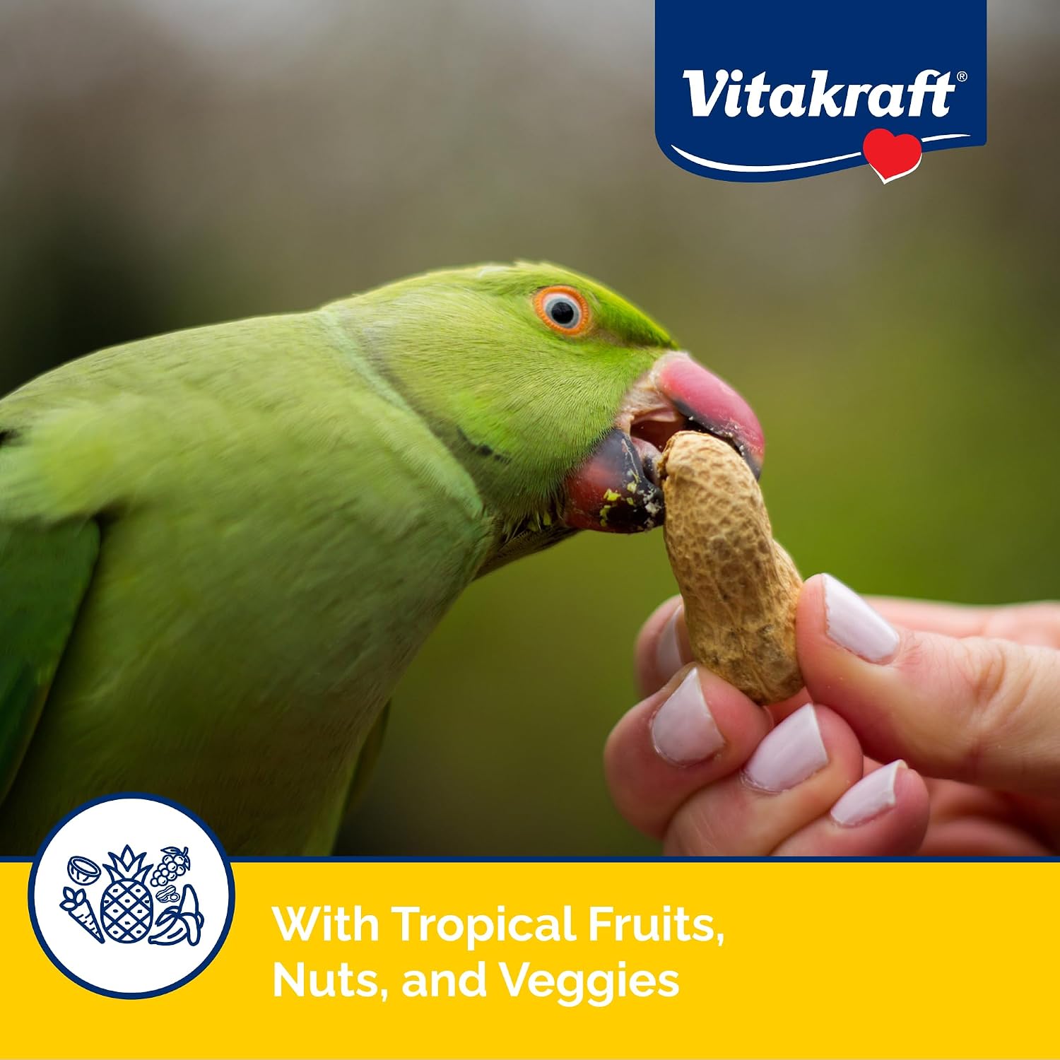 Healthy tropical fruit treat mix for cockatiels in a bowl
