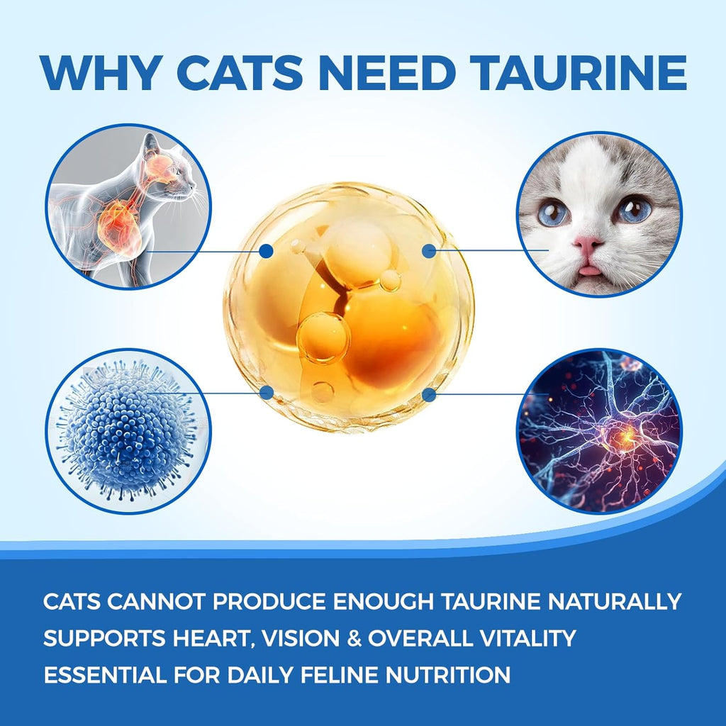 Tasteless taurine powder being mixed into wet cat food