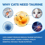 Tasteless taurine powder being mixed into wet cat food