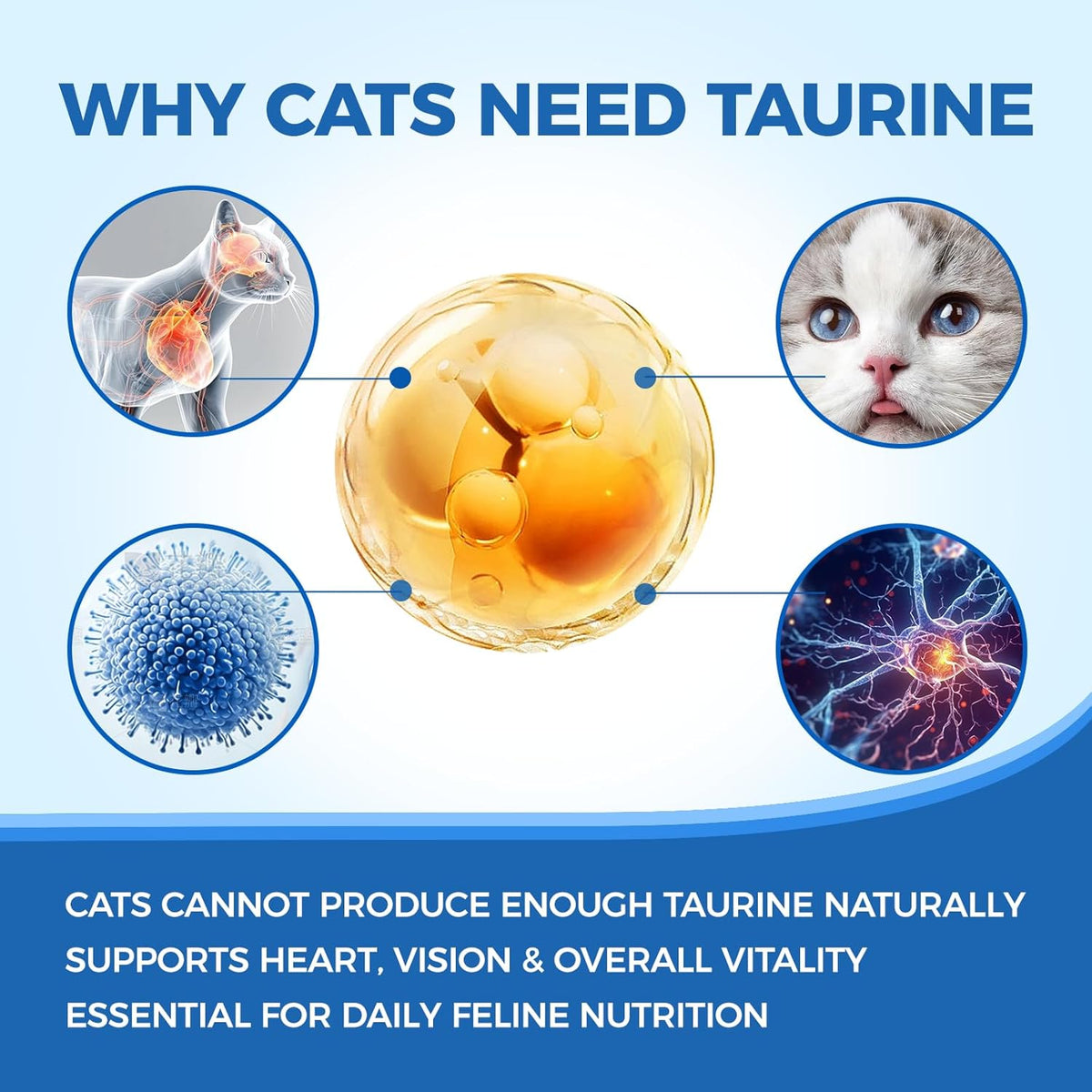 Tasteless taurine powder being mixed into wet cat food