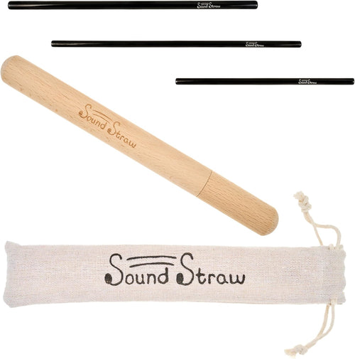 SoundStraw Vocal Training and Healing Aid kit showing premium stainless steel straws in front view.