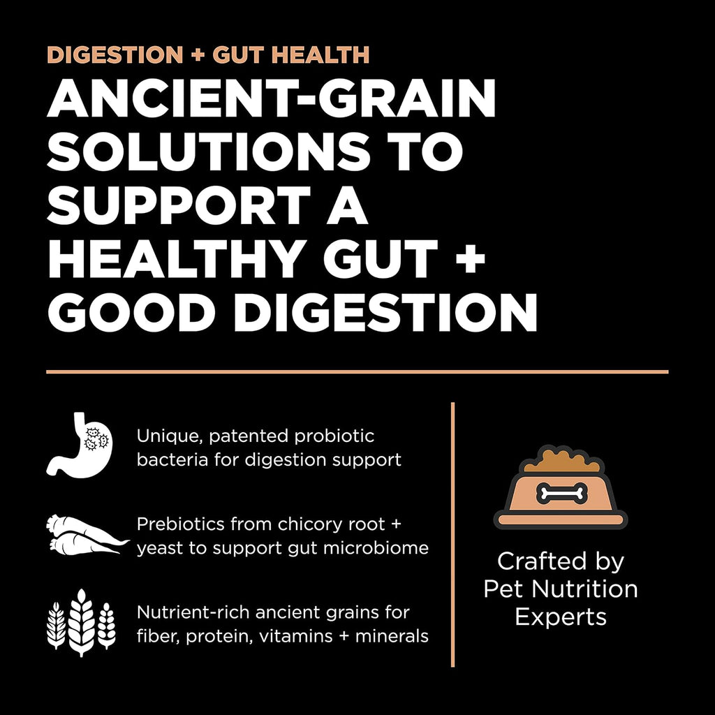Go Solutions premium chicken free dry cat food for sensitive stomachs closeup