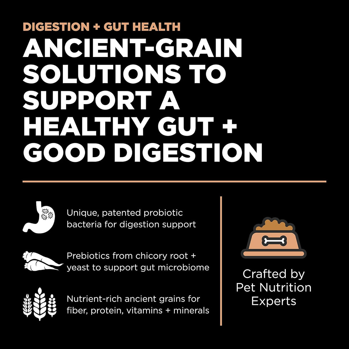 Go Solutions premium chicken free dry cat food for sensitive stomachs closeup