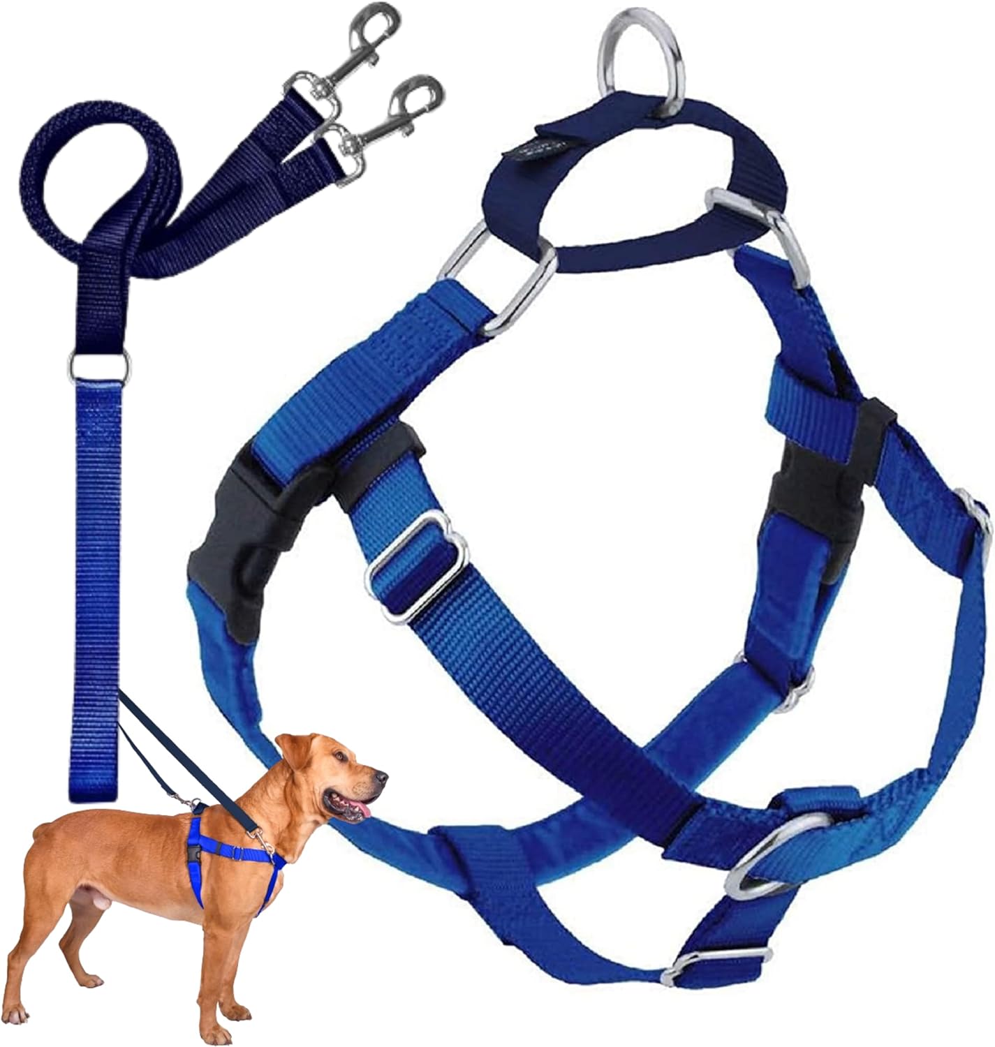 2 Hounds Design Freedom No Pull Dog Harness, Adjustable Harness and Leash Set, Easy Walking & Comfortable Control, Fits Small, Medium & Large Dogs, Solid Colors, Made in USA, 1" LG, Black - Image 15