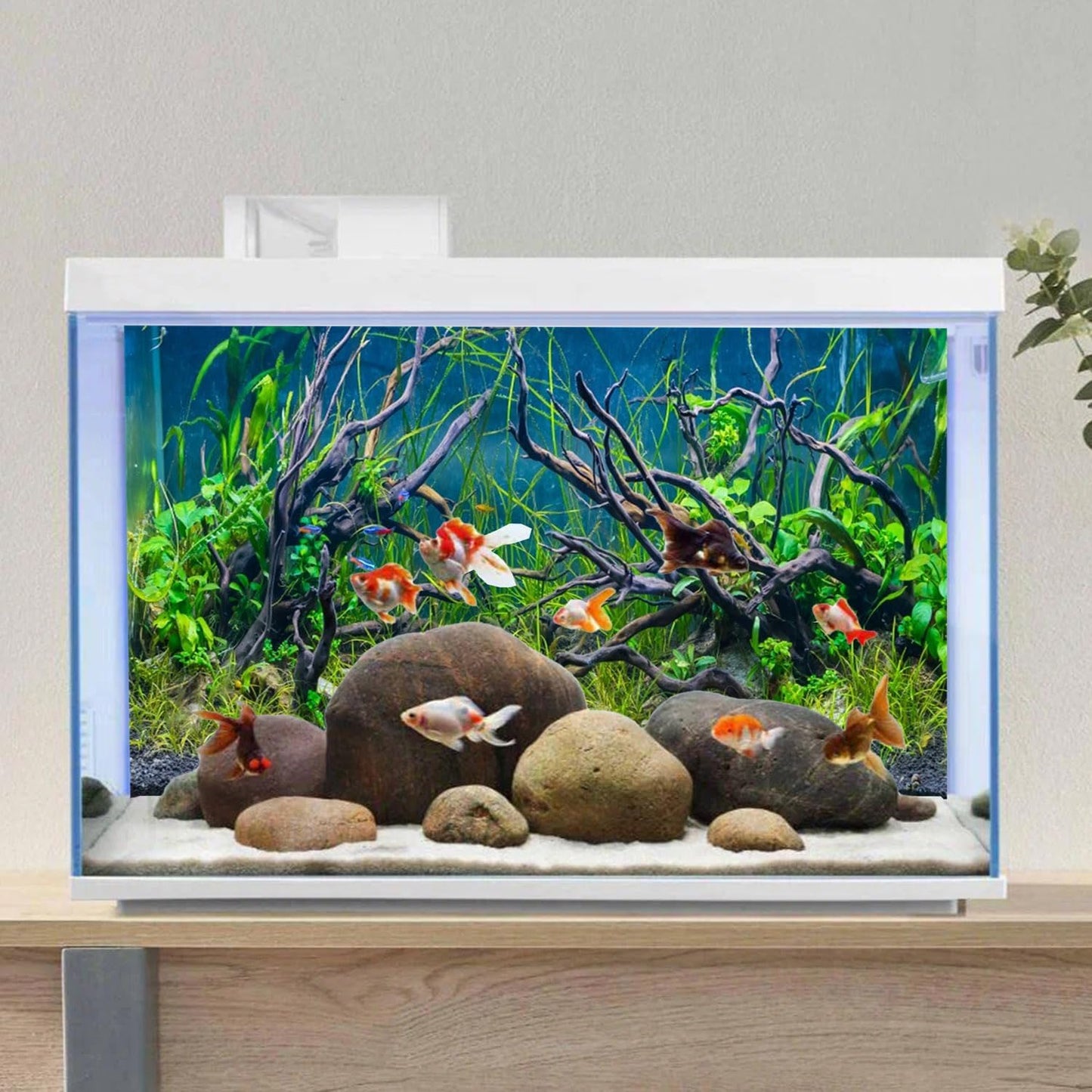 AWERT fish tank background applied to a glass terrarium habitat setup.