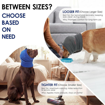 KOESON dog calming hood showing the interior sound-absorbing pads