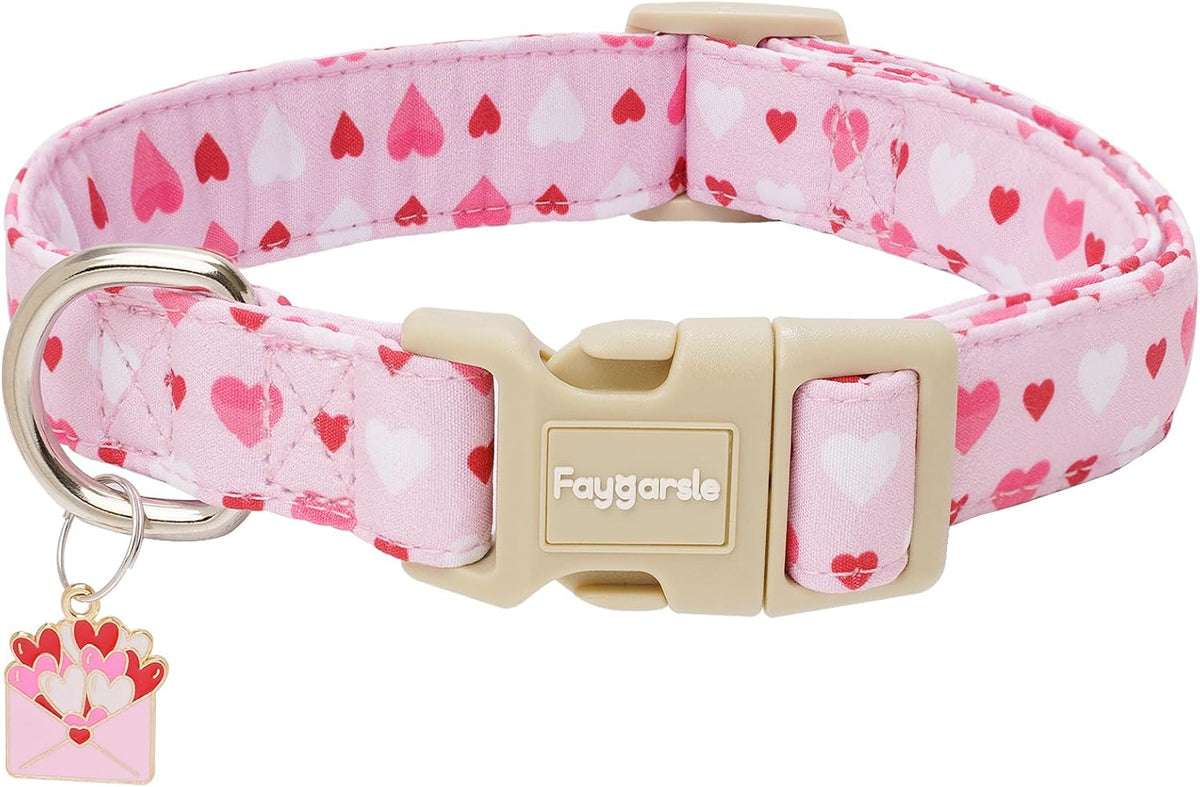 Small dog wearing Faygarsle pink bow pattern accessory