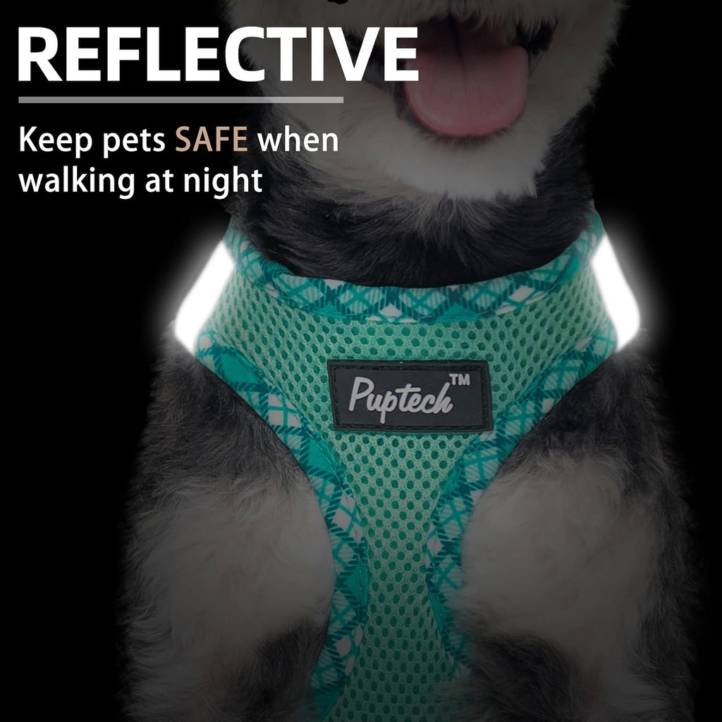 No pull dog harness displaying the dual metal D rings for leash attachment