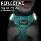No pull dog harness displaying the dual metal D rings for leash attachment