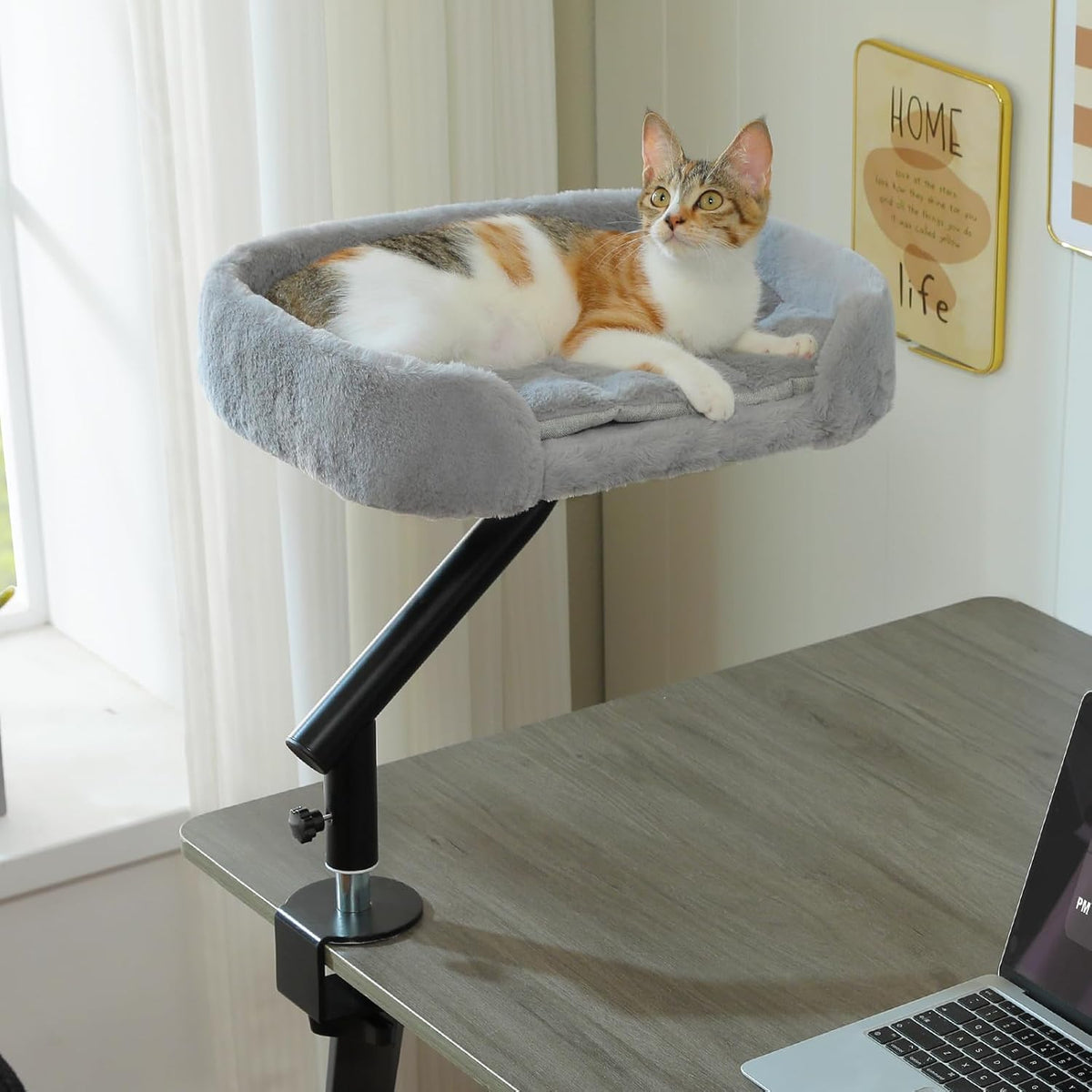 PAWZ Road Cat Desk Bed for Indoor Cats, Cat Bed for Desk Supports Up to 50 lbs, 360 degrees Rotation & Adjustable, Nest Desktop Attachment Cats Hammock for Table, White - Image 9