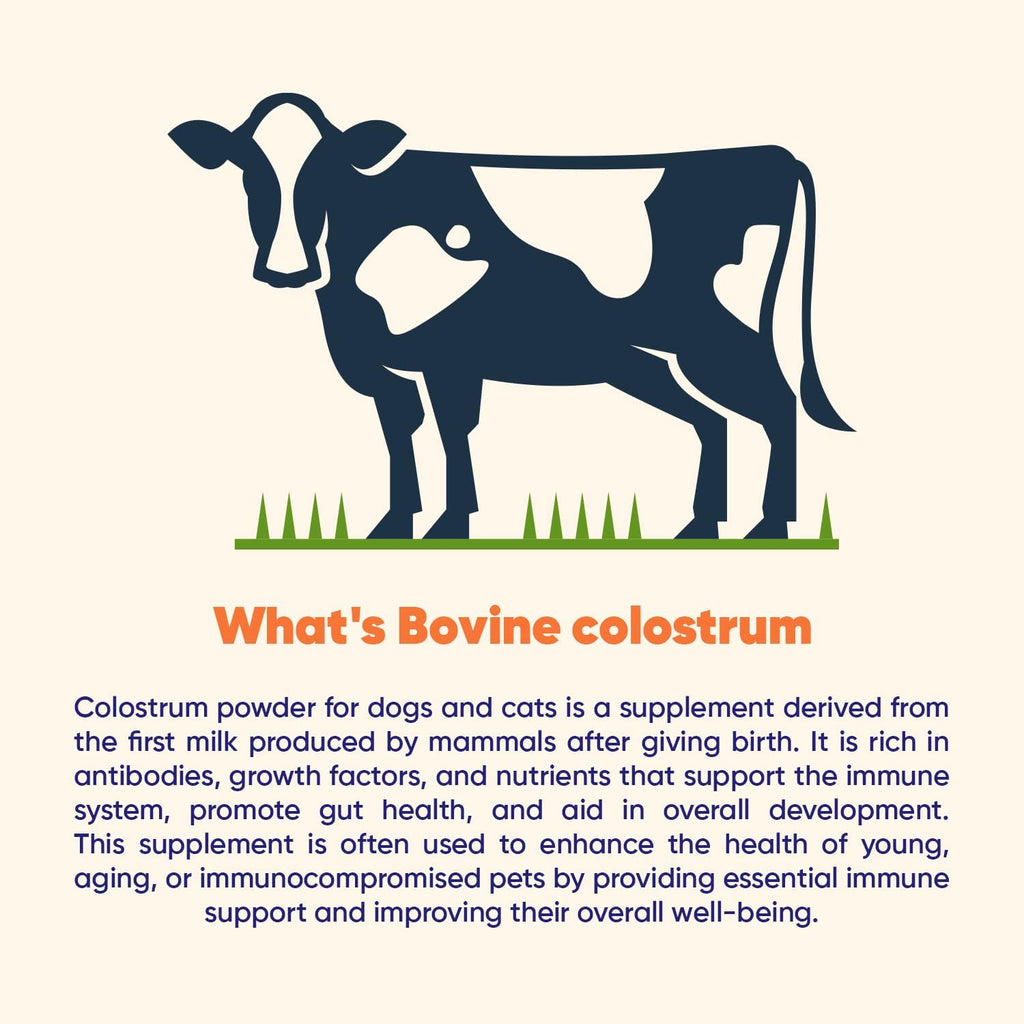 Vitamatic grass fed bovine colostrum ninety grams container close up