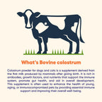 Vitamatic grass fed bovine colostrum ninety grams container close up