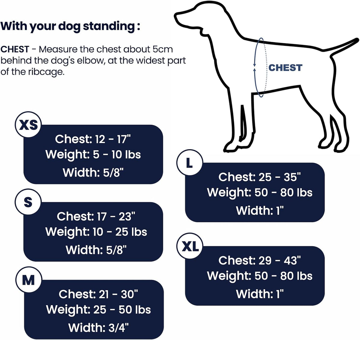 Six point adjustment system on LufeLux dog harness