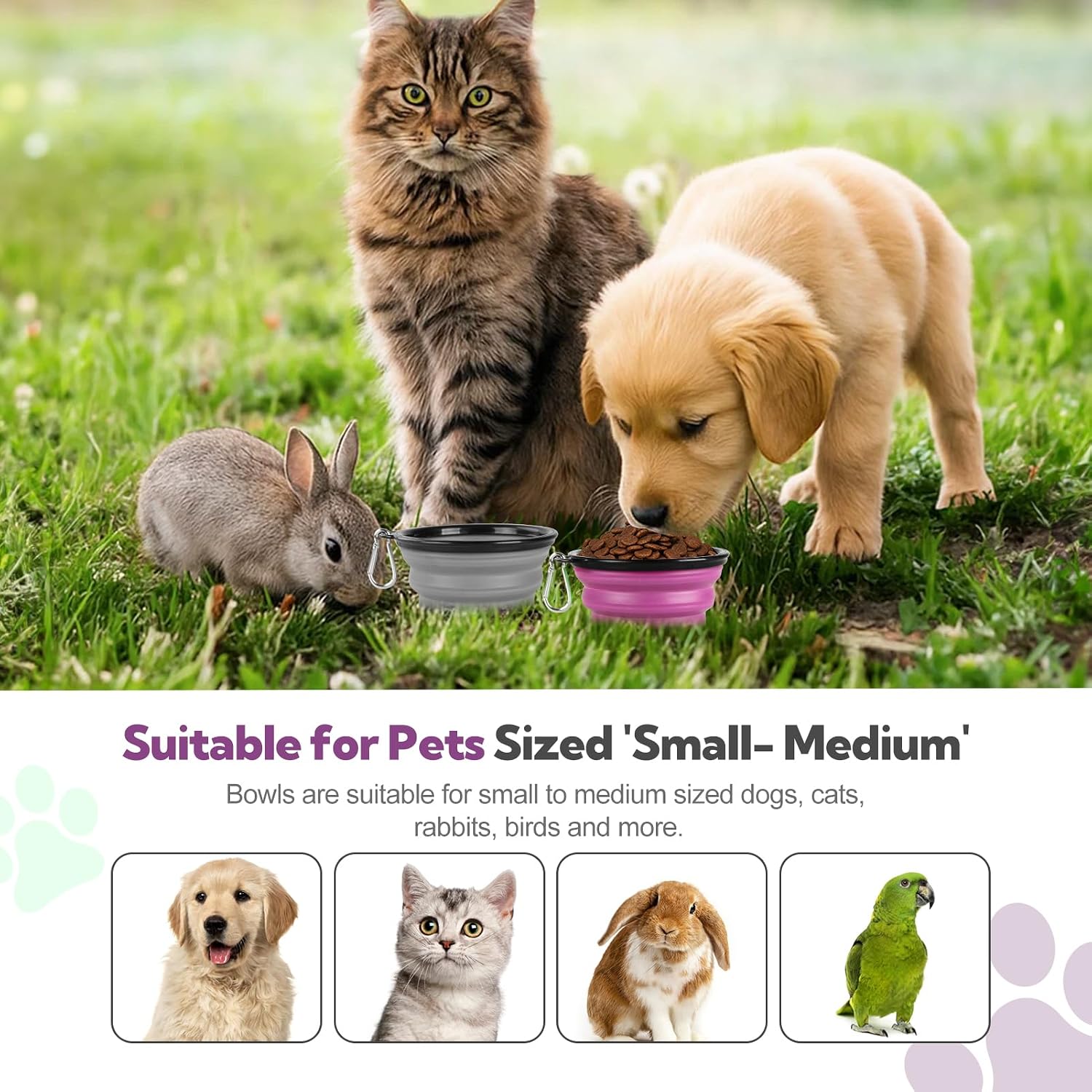 Hoscape twelve ounce travel pet bowl setup for small dogs and cats