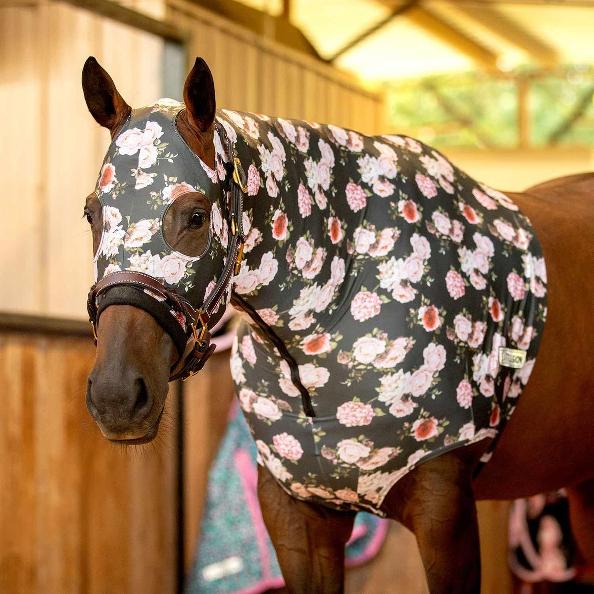 Equestrian grooming gear showing hood fit