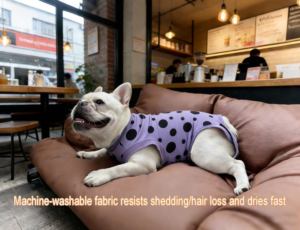 Premium imported pet surgical bodysuit showing elastic leg openings and stretch fabric