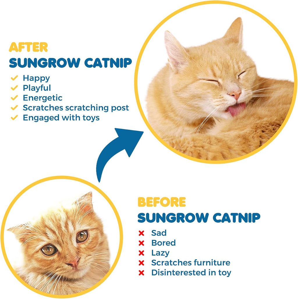 Refilling a plush cat toy with SunGrow premium organic catnip
