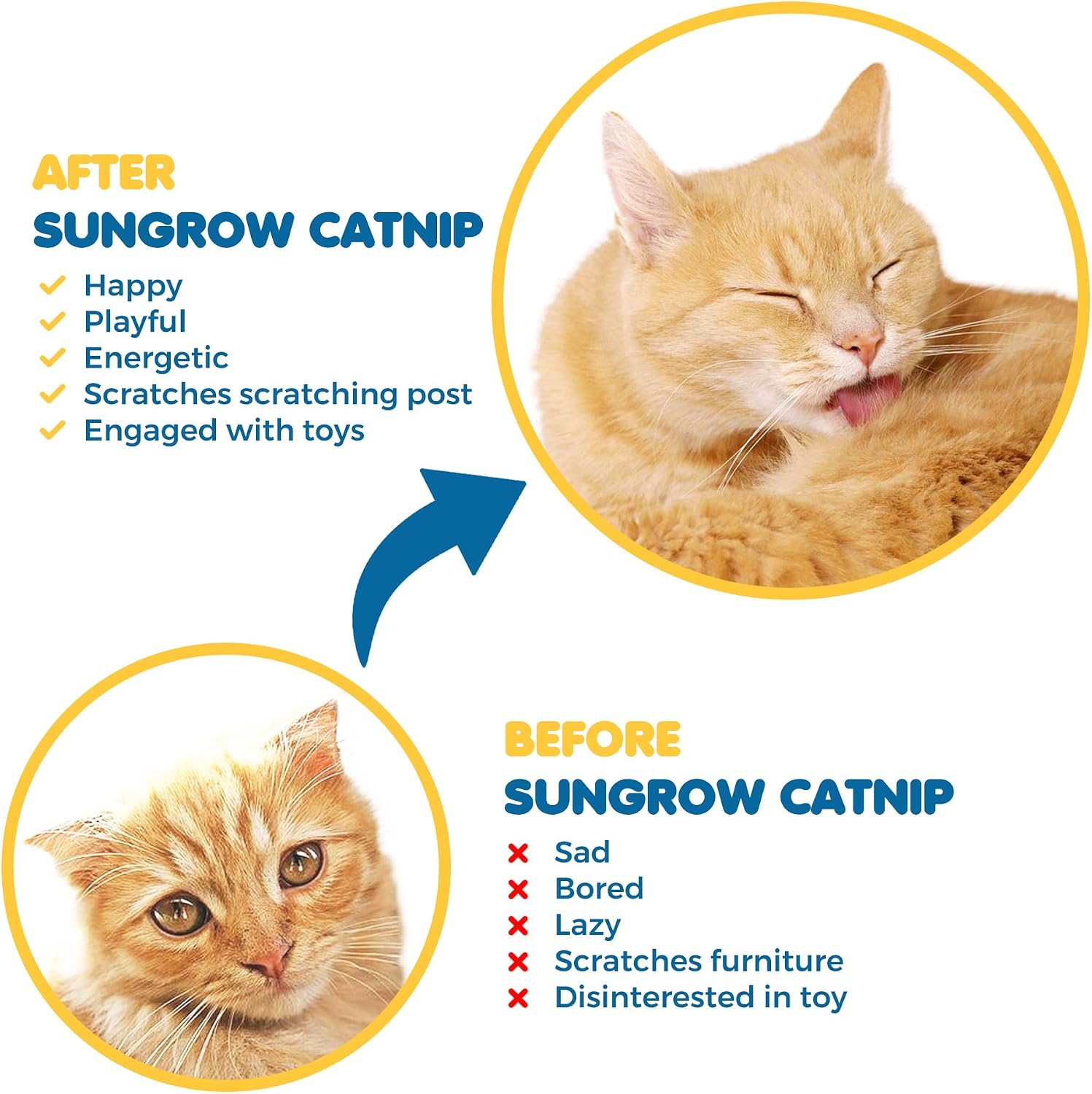 Refilling a plush cat toy with SunGrow premium organic catnip