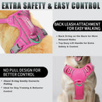Close up of breathable mesh and anti-chafe padding on Barkbay harness