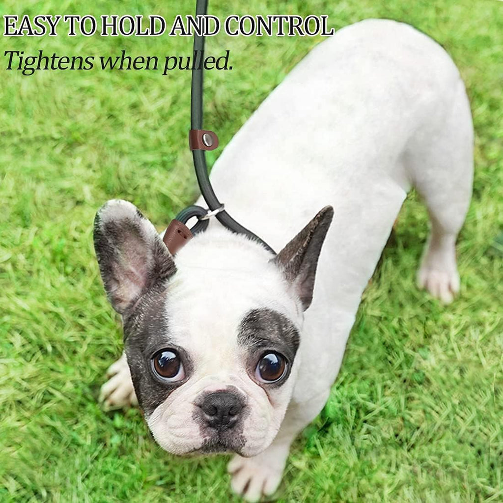 Authentic MayPaw USA imported dog training slip lead packaging detail