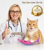 Two pack colorful fish plush kicker toys for indoor cats exercise and dental health.