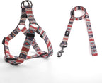 QQPETS Dog Harness Leash Set Adjustable Heavy Duty No Pull Halter Harnesses for Small Medium Large Breed Dogs Back Clip Anti-Twist Perfect for Walking - Image 9