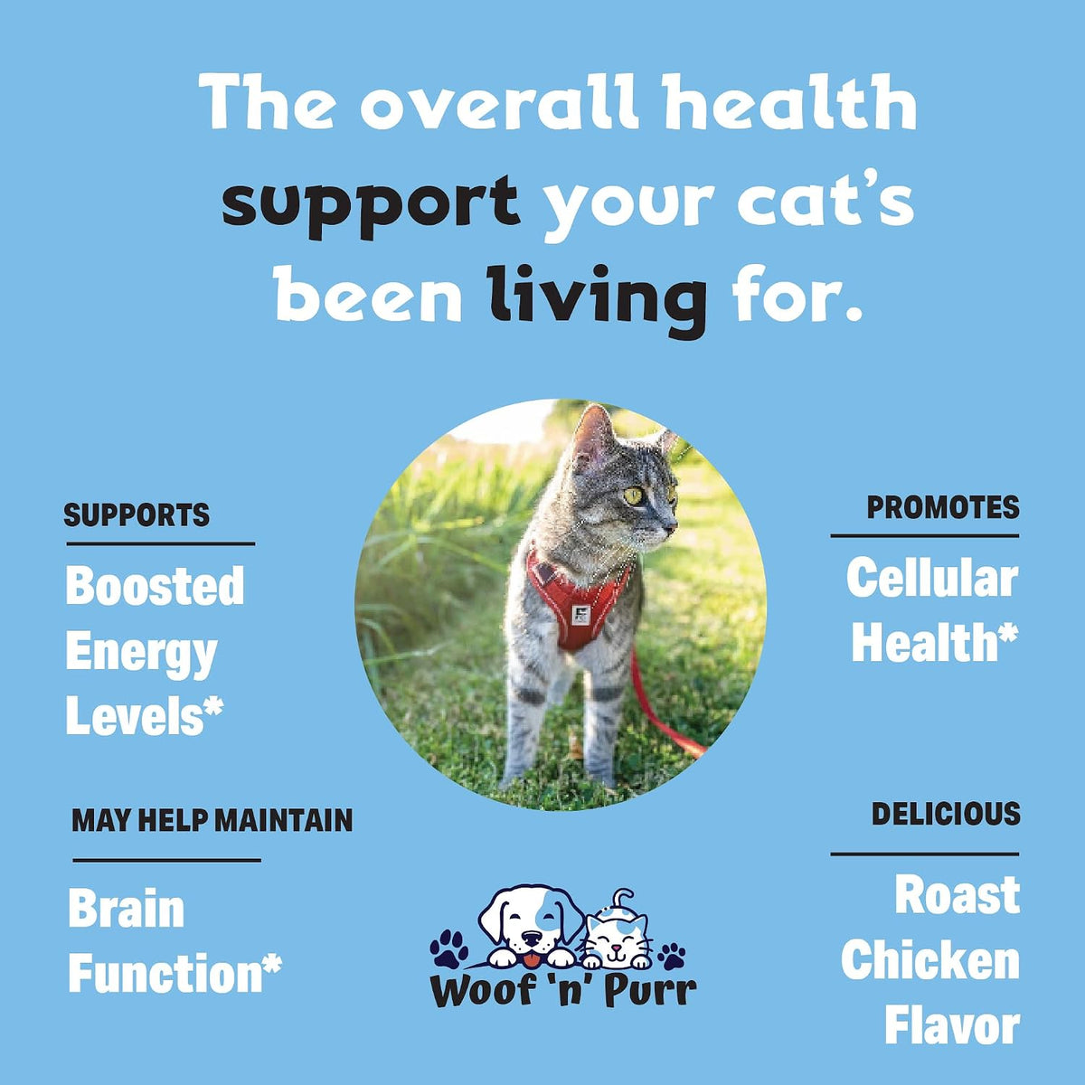 USA imported liquid vitamins for indoor cats and growing kittens