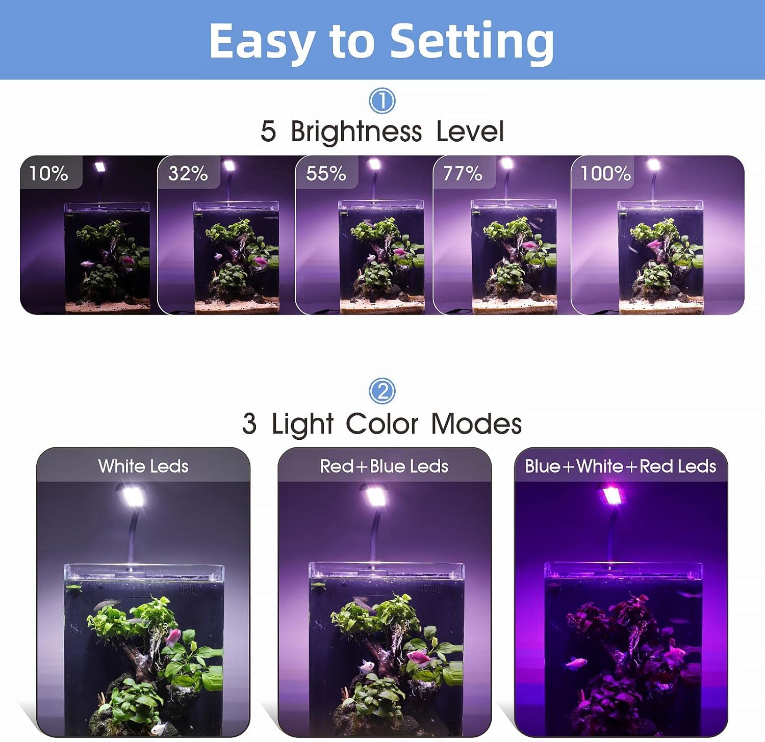 Hygger aquarium light mounted on small glass tank