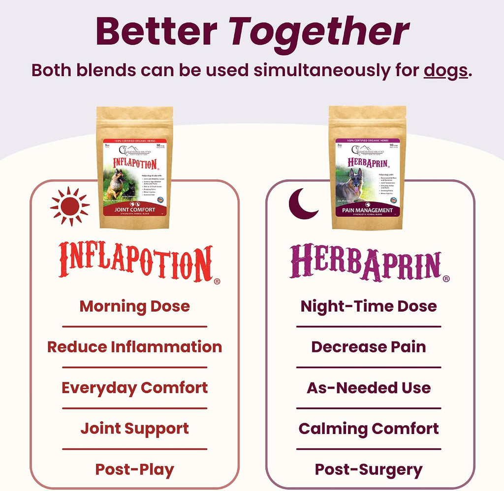 Glacier Peak Holistics Inflapotion supplement bottle with pet food