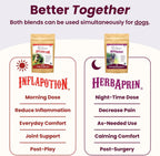 Glacier Peak Holistics Inflapotion supplement bottle with pet food