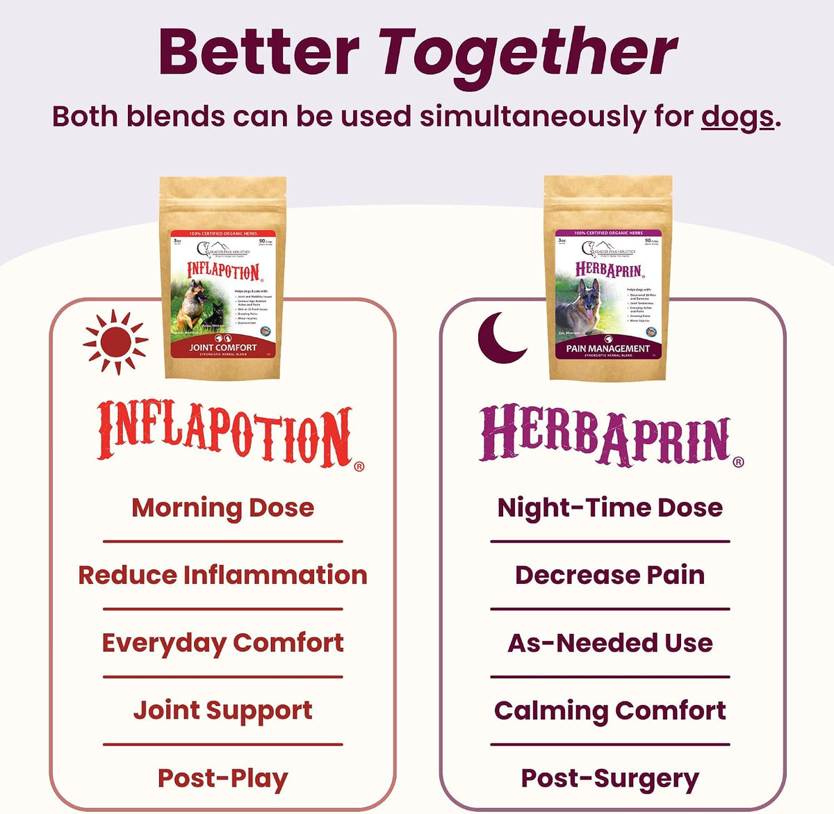 Glacier Peak Holistics Inflapotion supplement bottle with pet food
