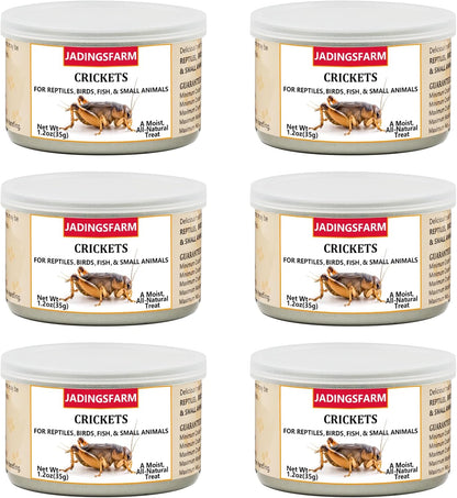 Jadingsfarm canned crickets front view high protein reptile food