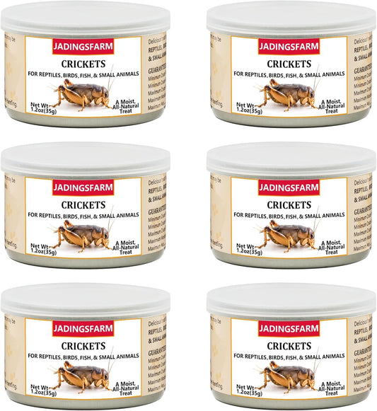Jadingsfarm canned crickets front view high protein reptile food