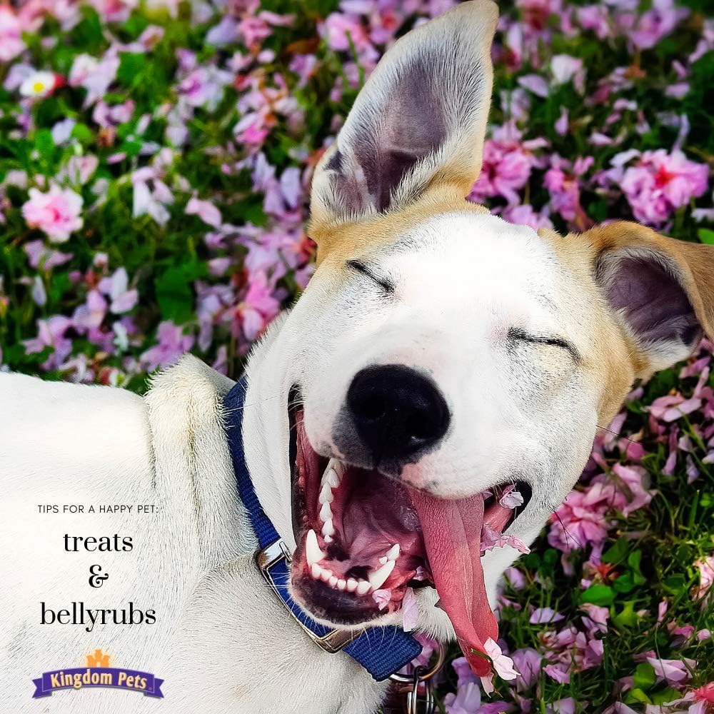 Kingdom Pets dog treats showing natural ingredient label