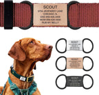 Personalized Dog Tags by ROAD iD | Silent & Durable | Jingle-Free Slide-On Design | Stainless Steel Name Tag Fits Any Collar | Multiple Colors & Sizes for Your Pet's Unique Style - Image 11